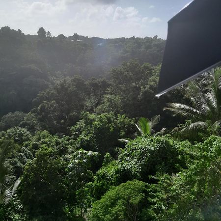 Les Manguiers Appartement Sainte-Anne  Buitenkant foto