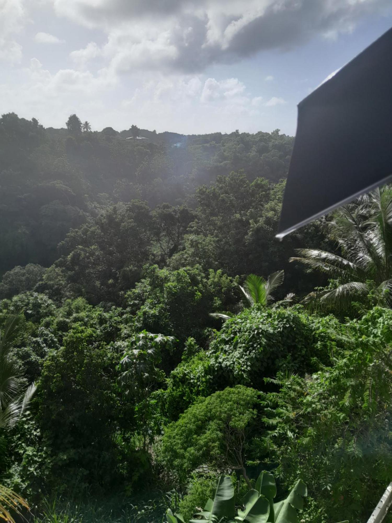 Les Manguiers Appartement Sainte-Anne  Buitenkant foto
